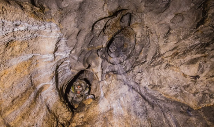 пещера рго