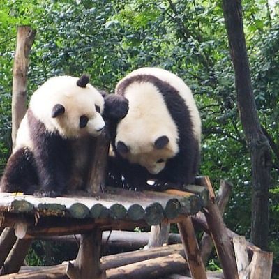 Чэнду-Чунцин-Ичан