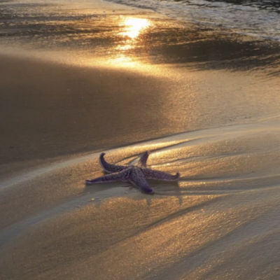 КНДР. Пляжный тур. Прямой поезд в Северную Корею, 5 дней, июль-август